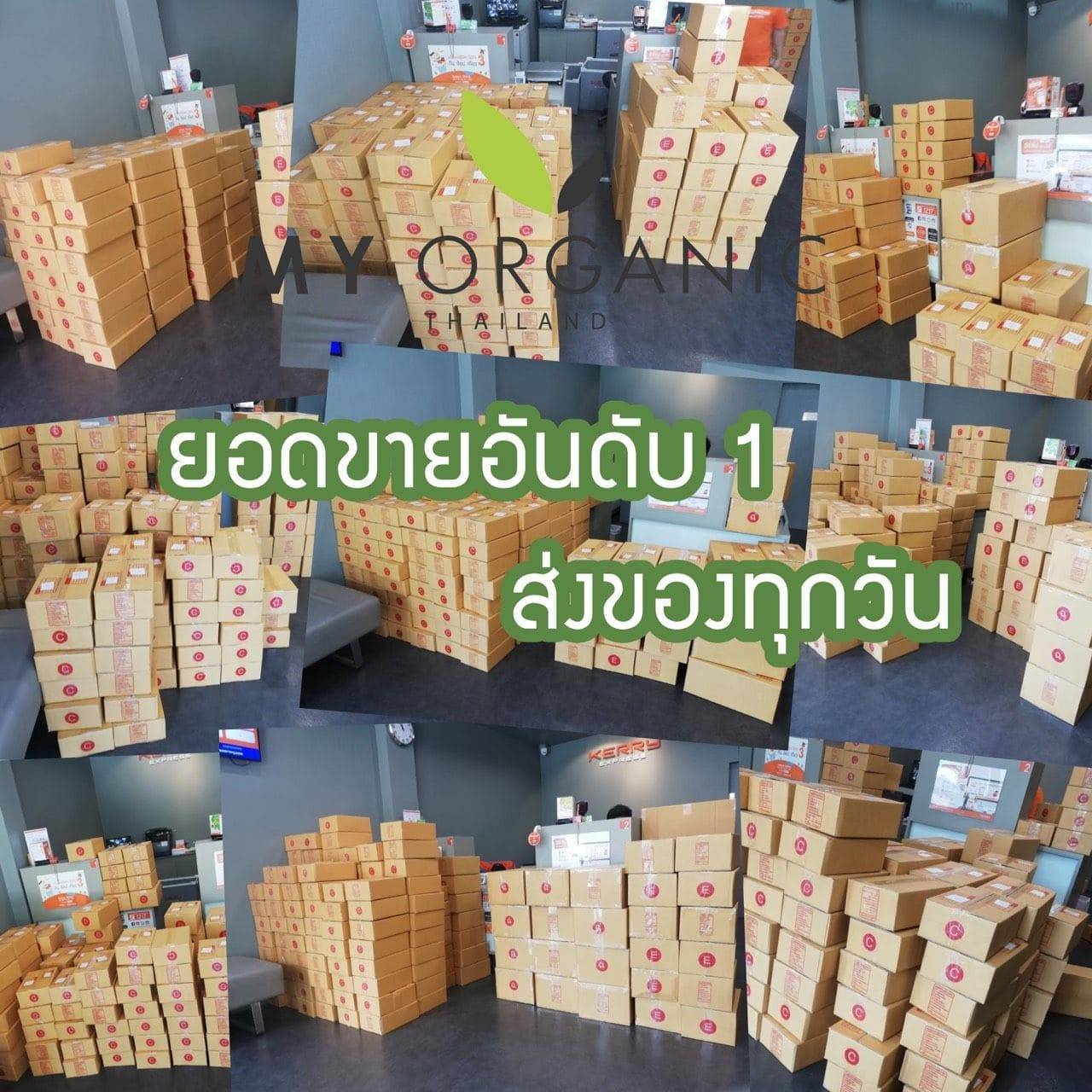 เรื่องแก้หงอกไว้ใจ My Oeganic ยอดขายอันดับ 1 ส่งของทุกวัน
