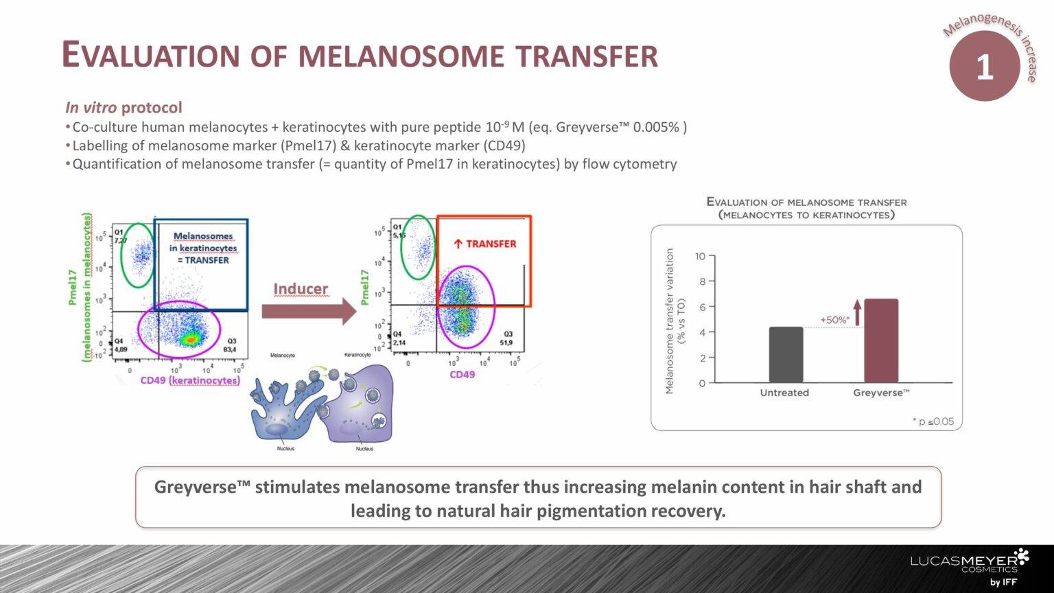 Melanosome